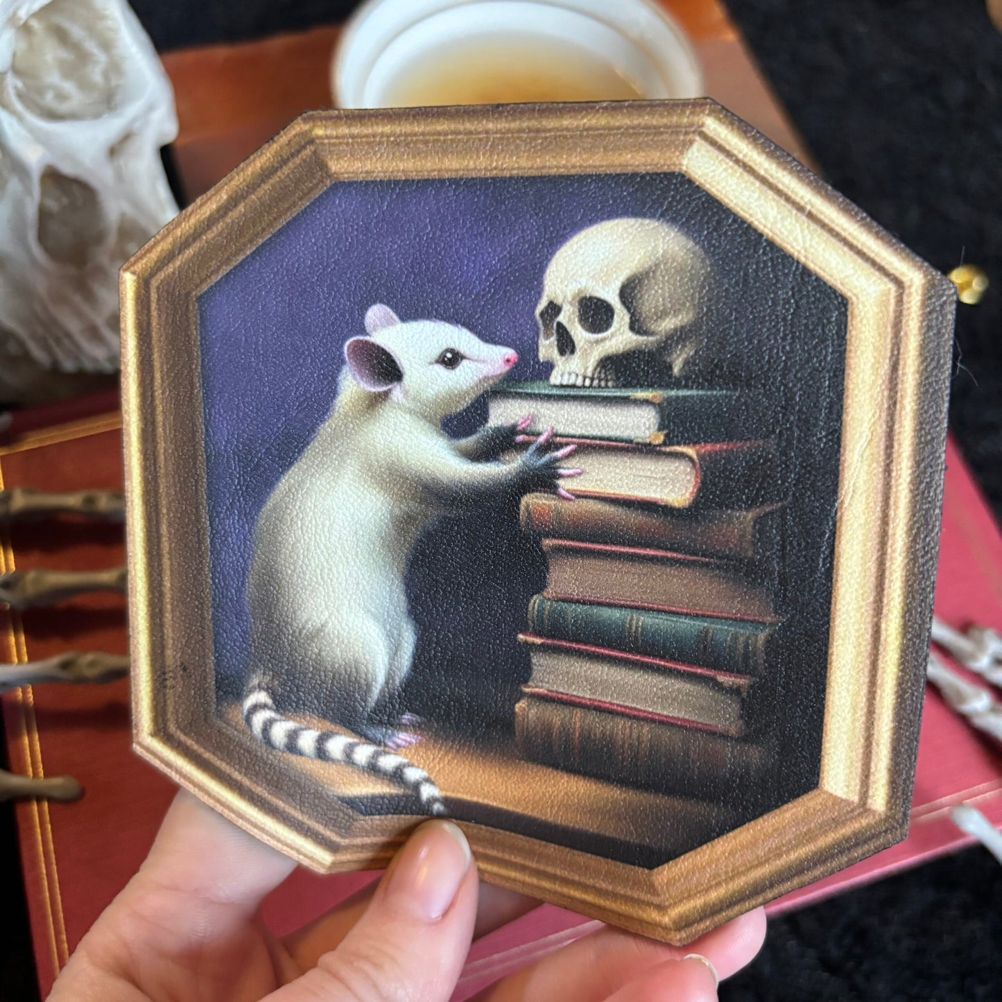 Sous Tasse. Un opossum aux Archives