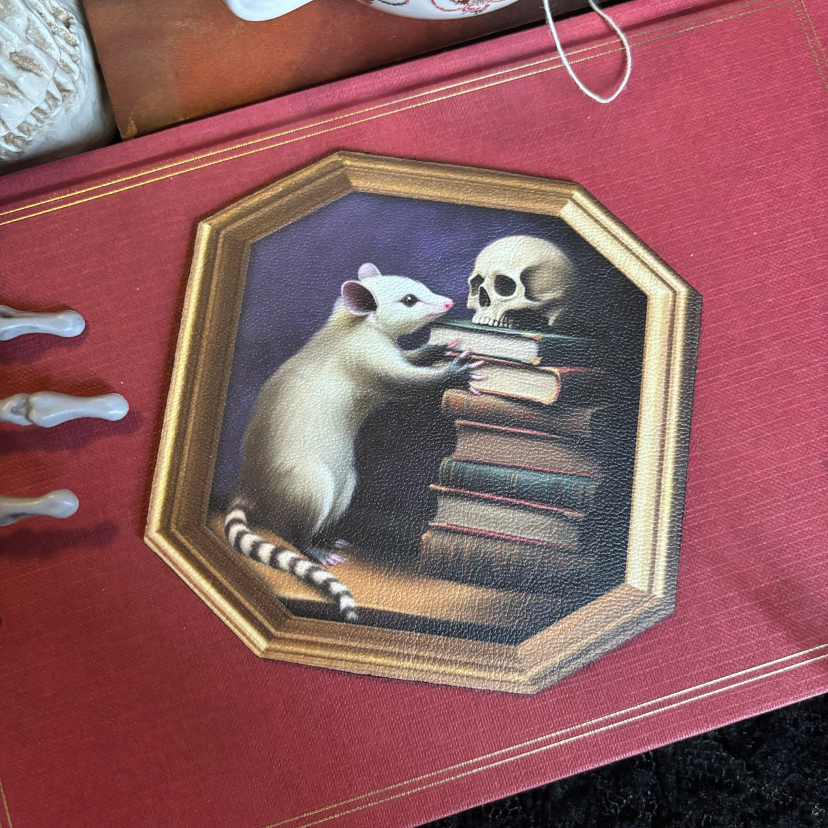 Sous Tasse. Un opossum aux Archives