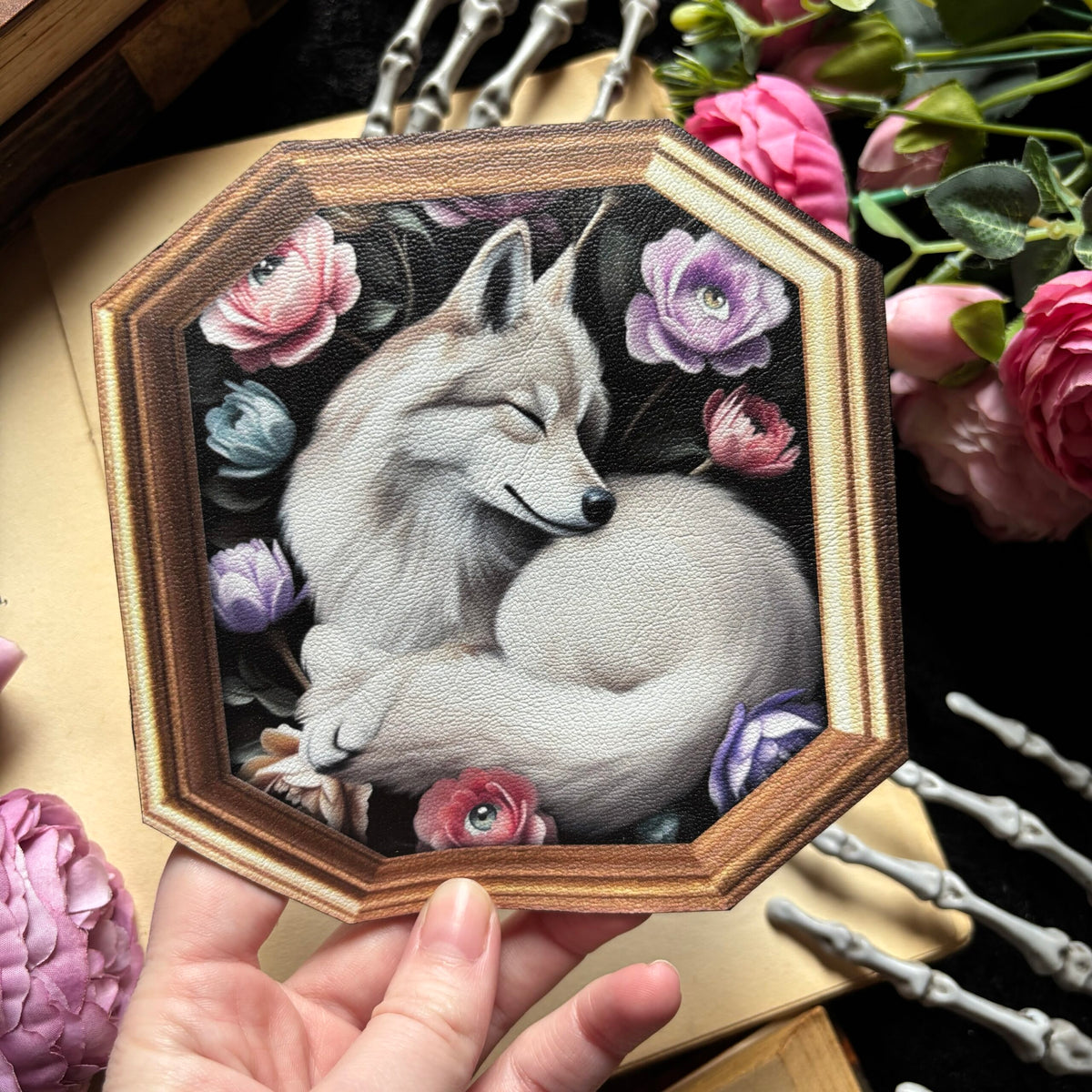 Sous Tasse. Le repos du Loup
