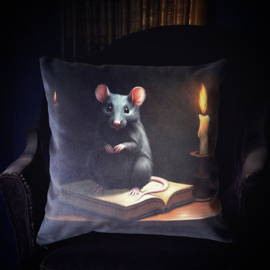 Rat de bibliothèque. Housse de coussin