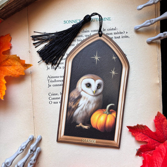 Veilleuse des Songes. Illustration de chouette. Marque Page / Décoration.
