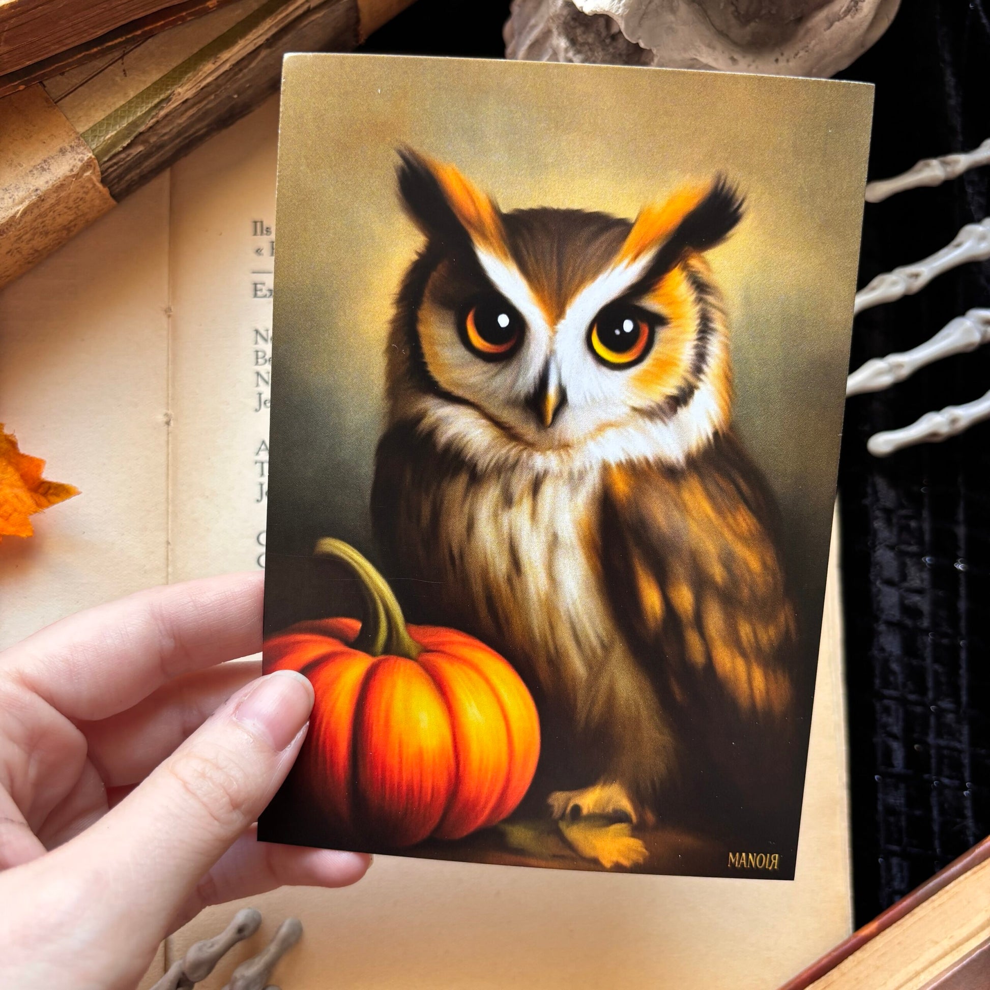 L’Oracle du Crépuscule. Illustration hibou. Impression A4 et A6