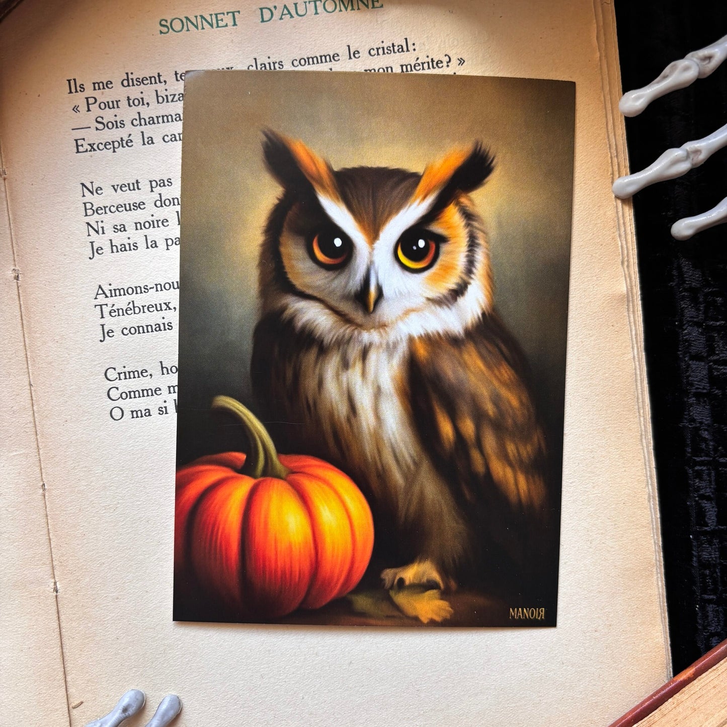 L’Oracle du Crépuscule. Illustration hibou. Impression A4 et A6