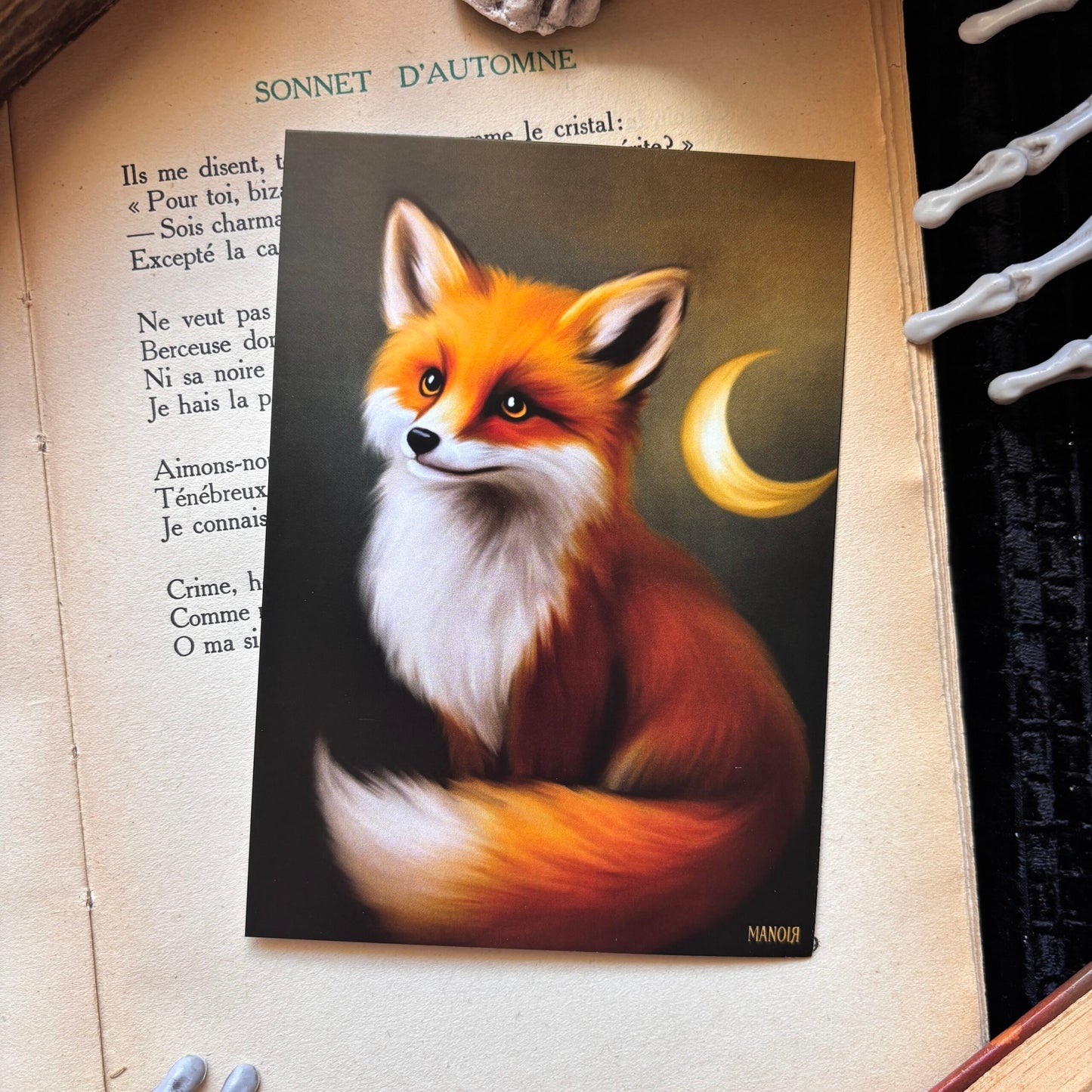 Le Veilleur Roux. Illustration de renard. Impression A4 et A6