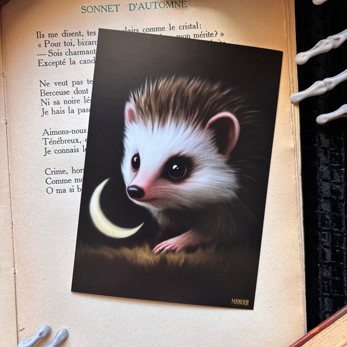Le Petit Gardien de Nuit. Illustration hérisson. Impression A4 et A6