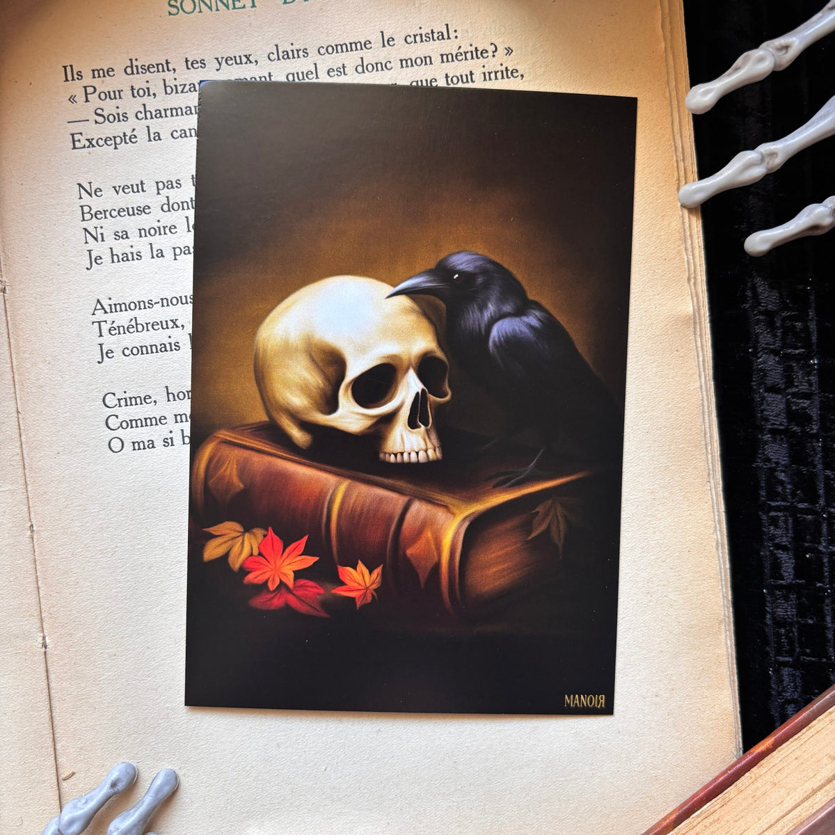 Lecture d’automne. Impression A6
