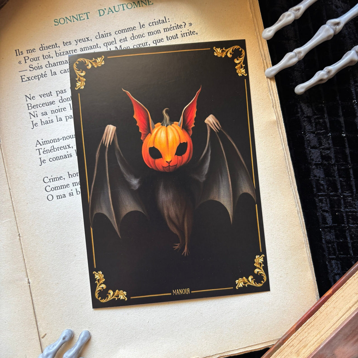Citrouille Nocturne, chauve-souris. Impression A6