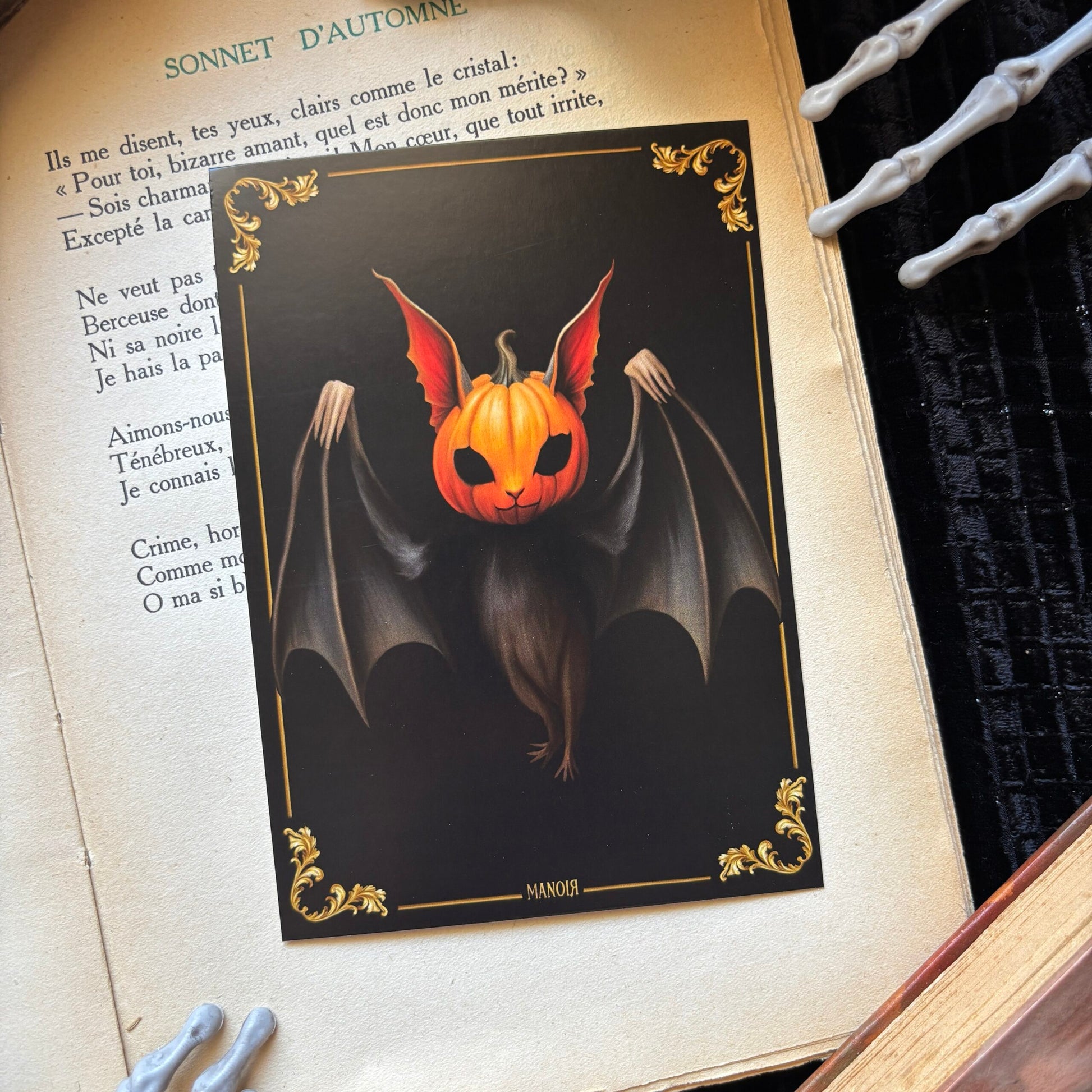 Citrouille Nocturne, chauve-souris. Impression A6