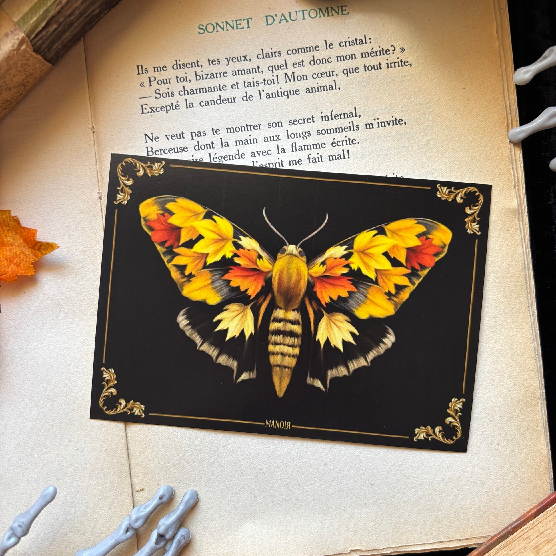 Papillon automne. Impression A6