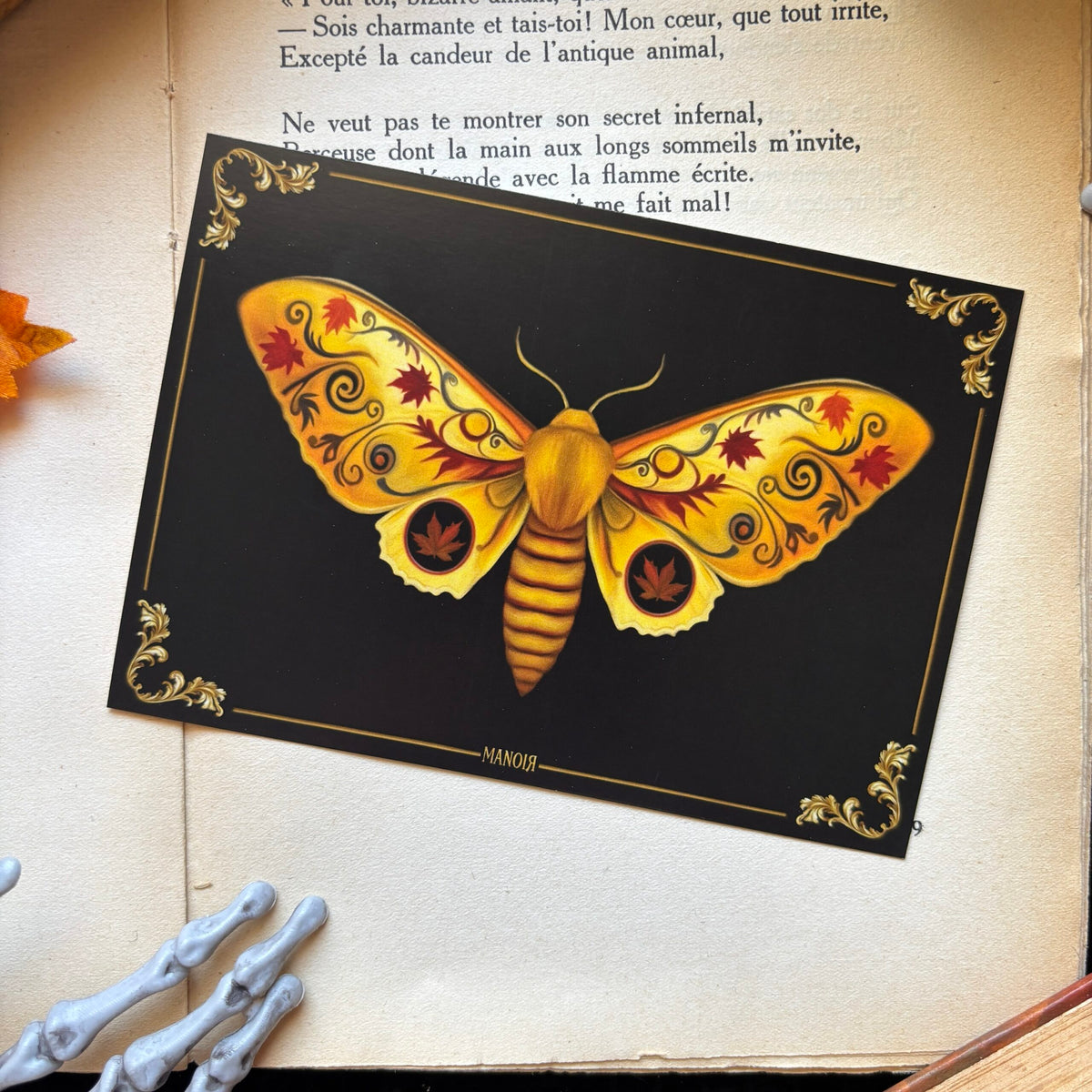Papillon automne vintage. Impression A6