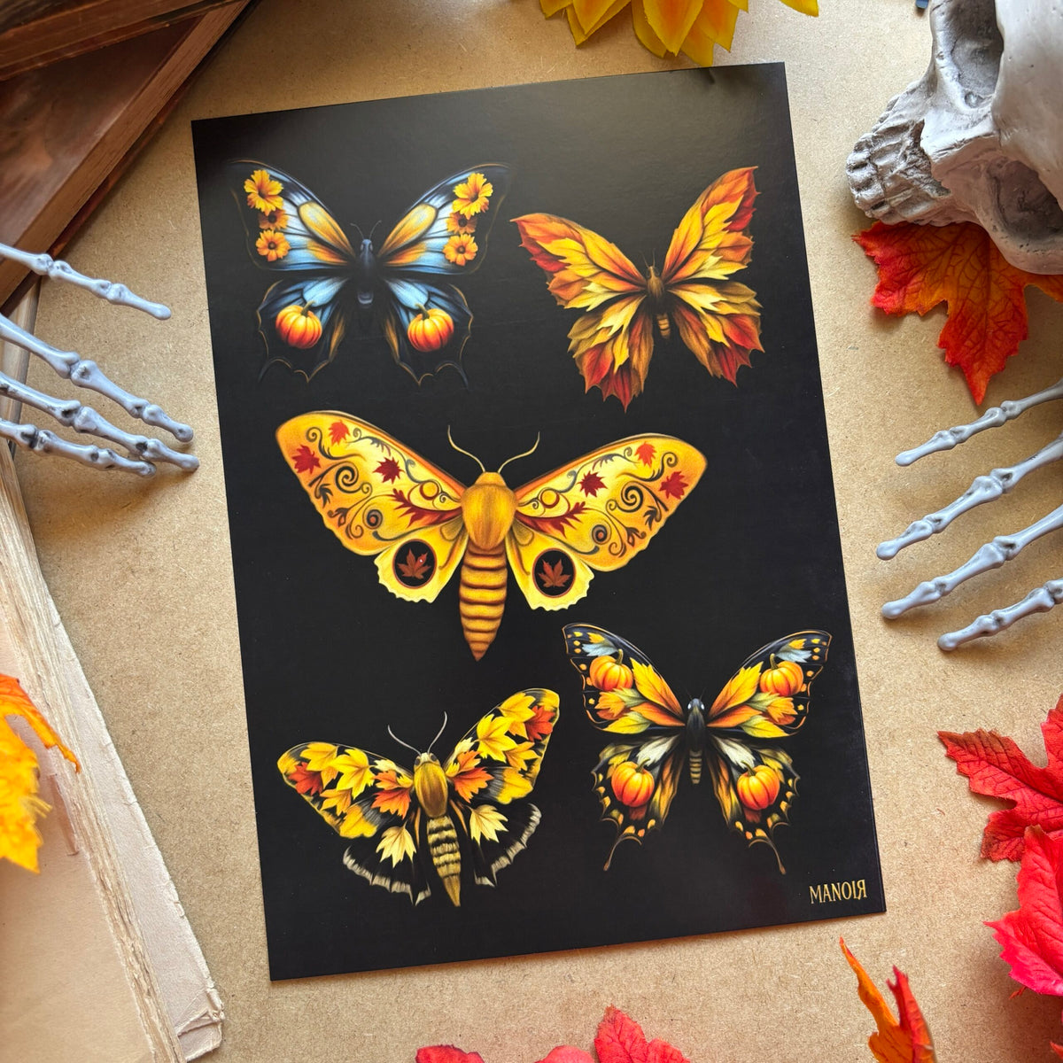 Papillons d’Automne. Planche Illustrée. Créatures Ailées de la Forêt. Impression A4
