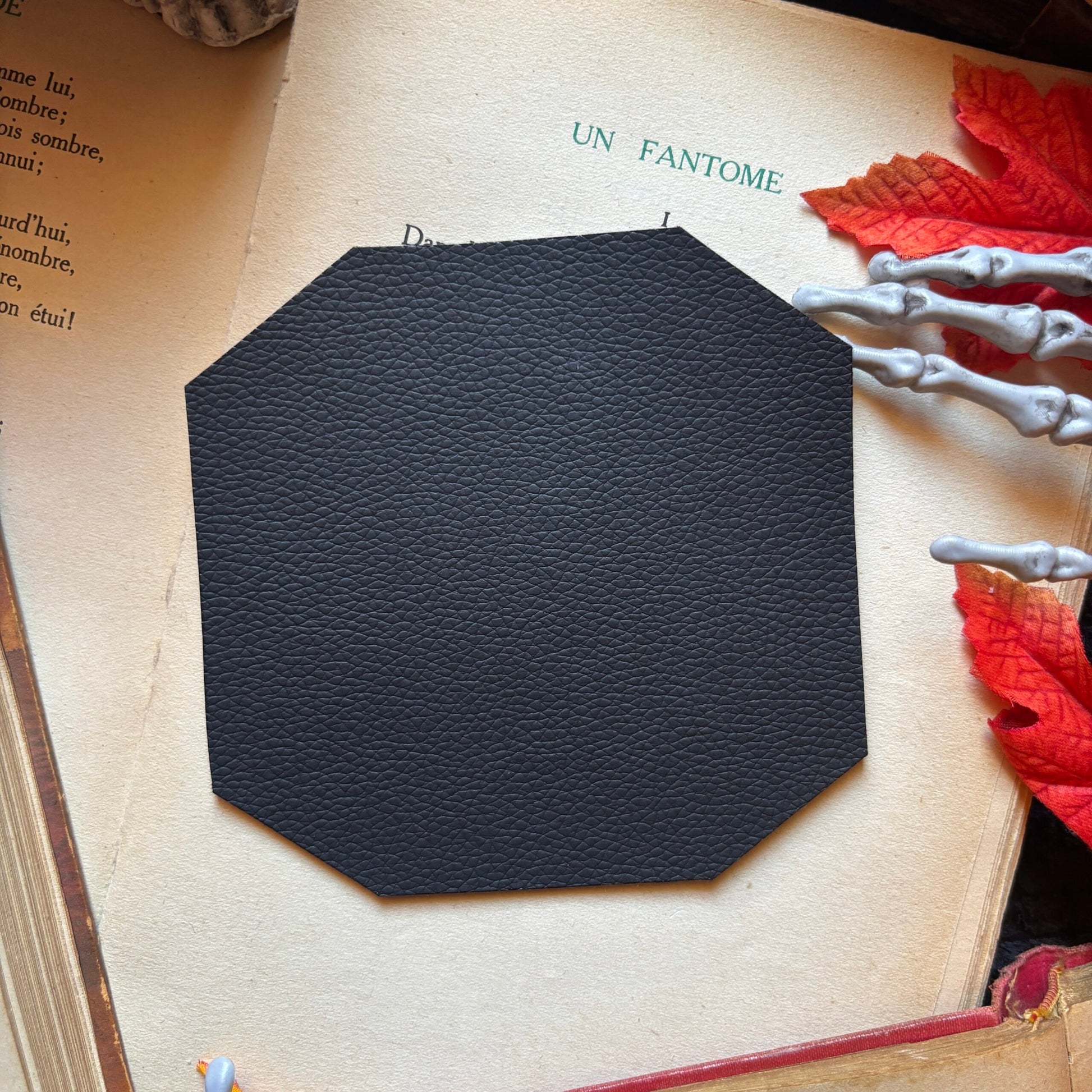 Sous Tasse. Selkie 🖤. Chat noir calavera