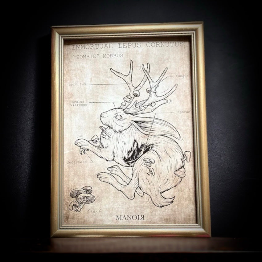 Zombie Lepus Cornutus. Impression A4.