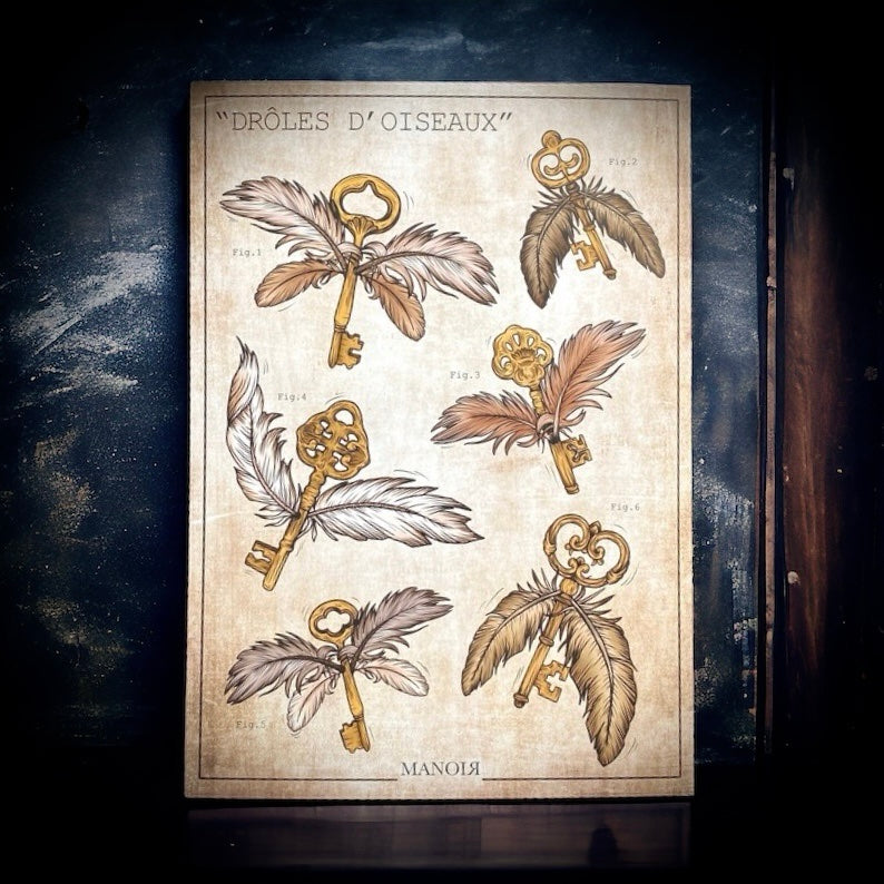 Drôle d'oiseaux. Impression A4.