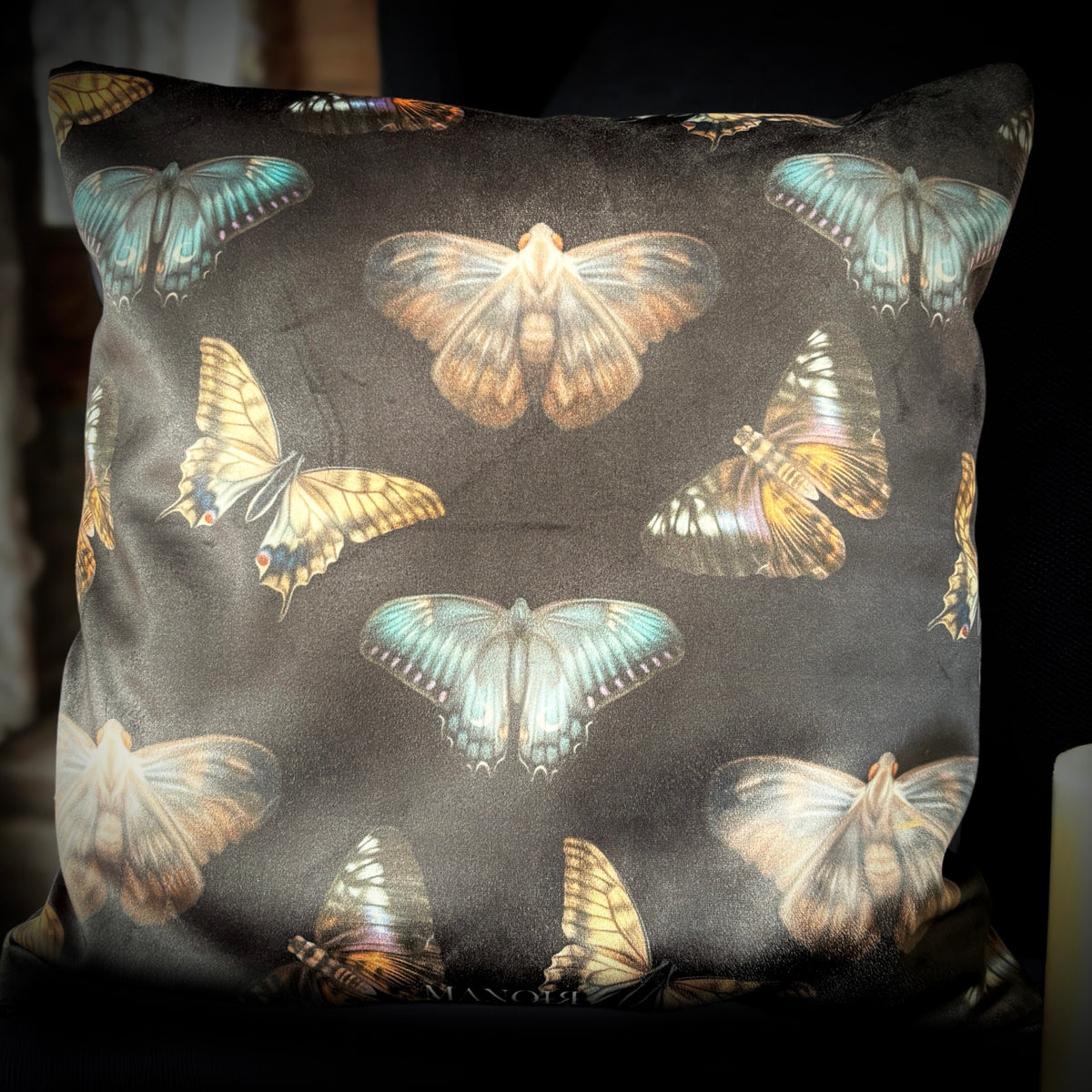 Vanité. Housse de coussin