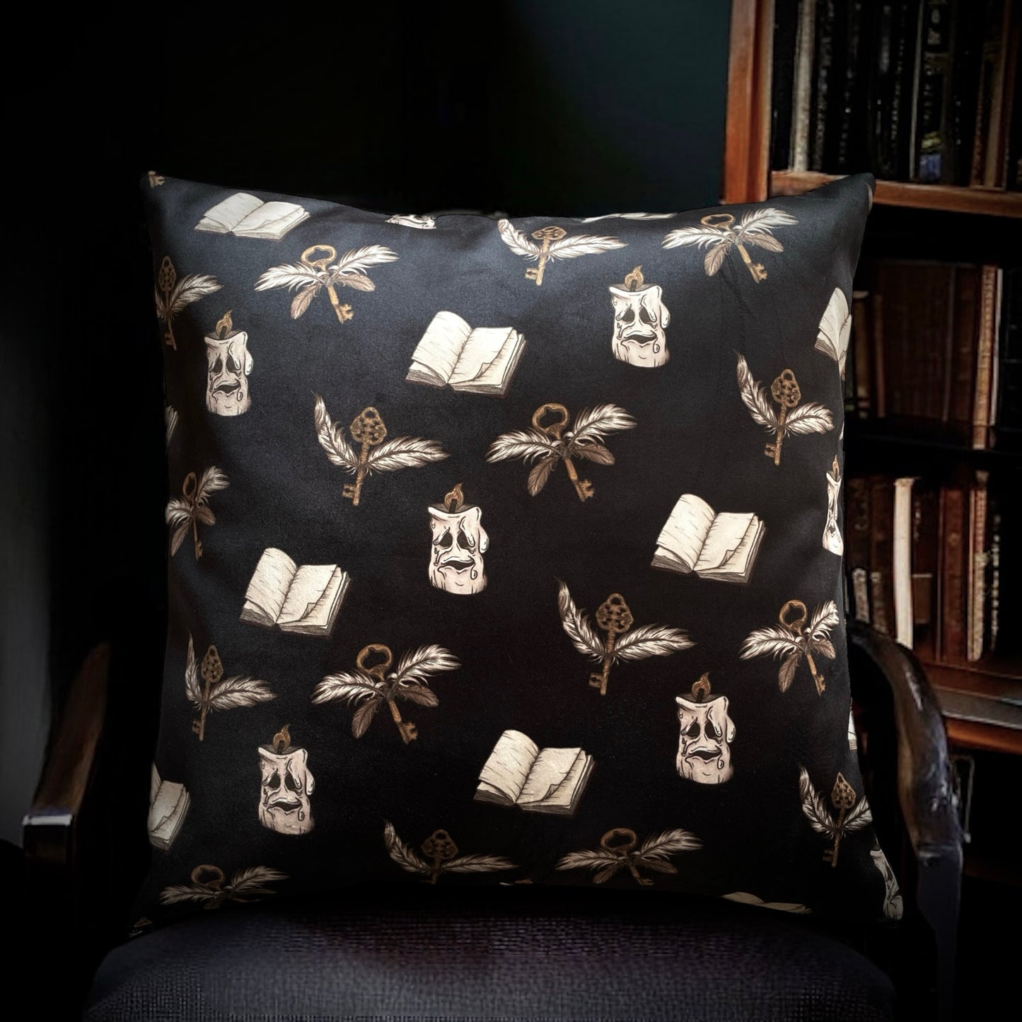 Dark Academia. Housse de coussin