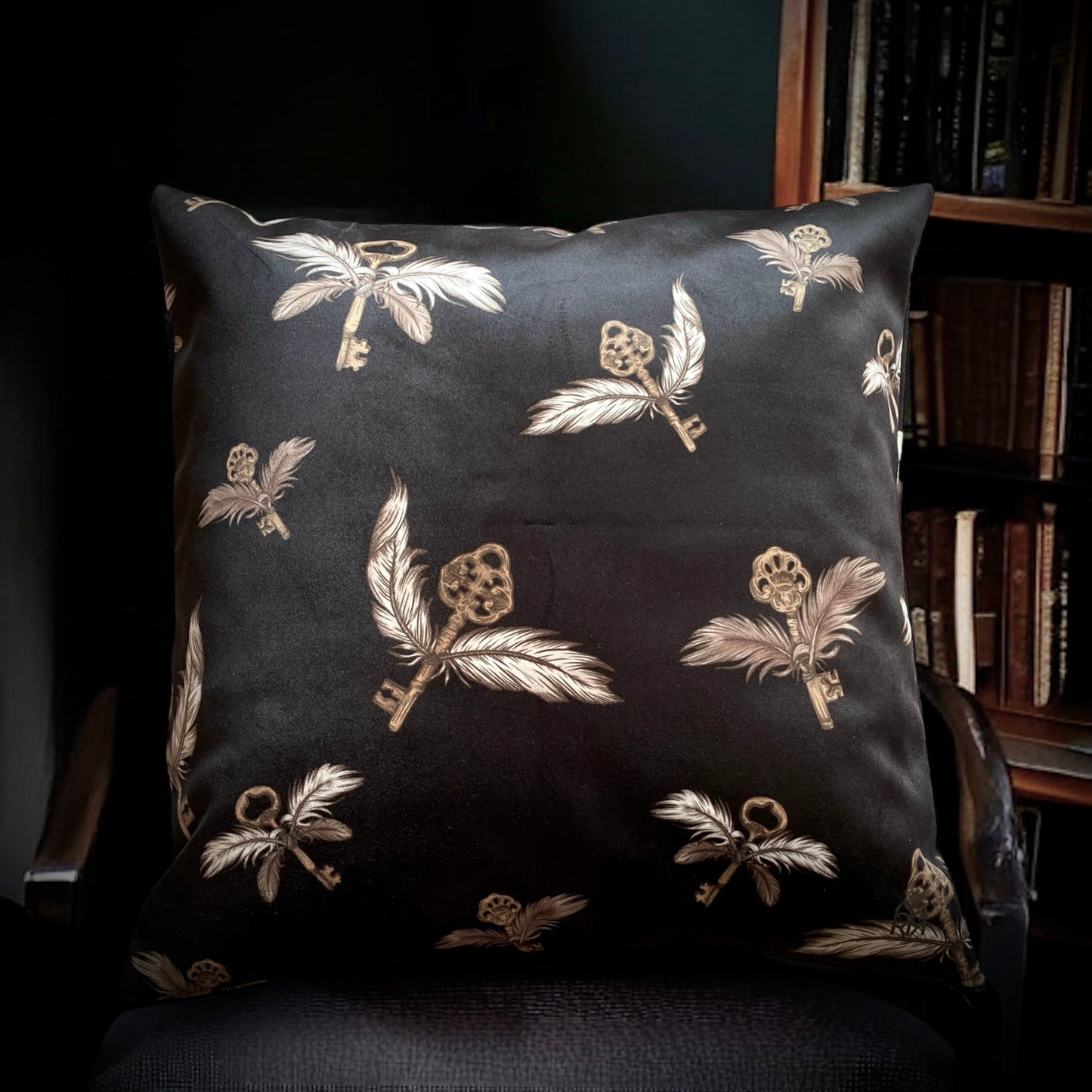 Dark Academia. Housse de coussin
