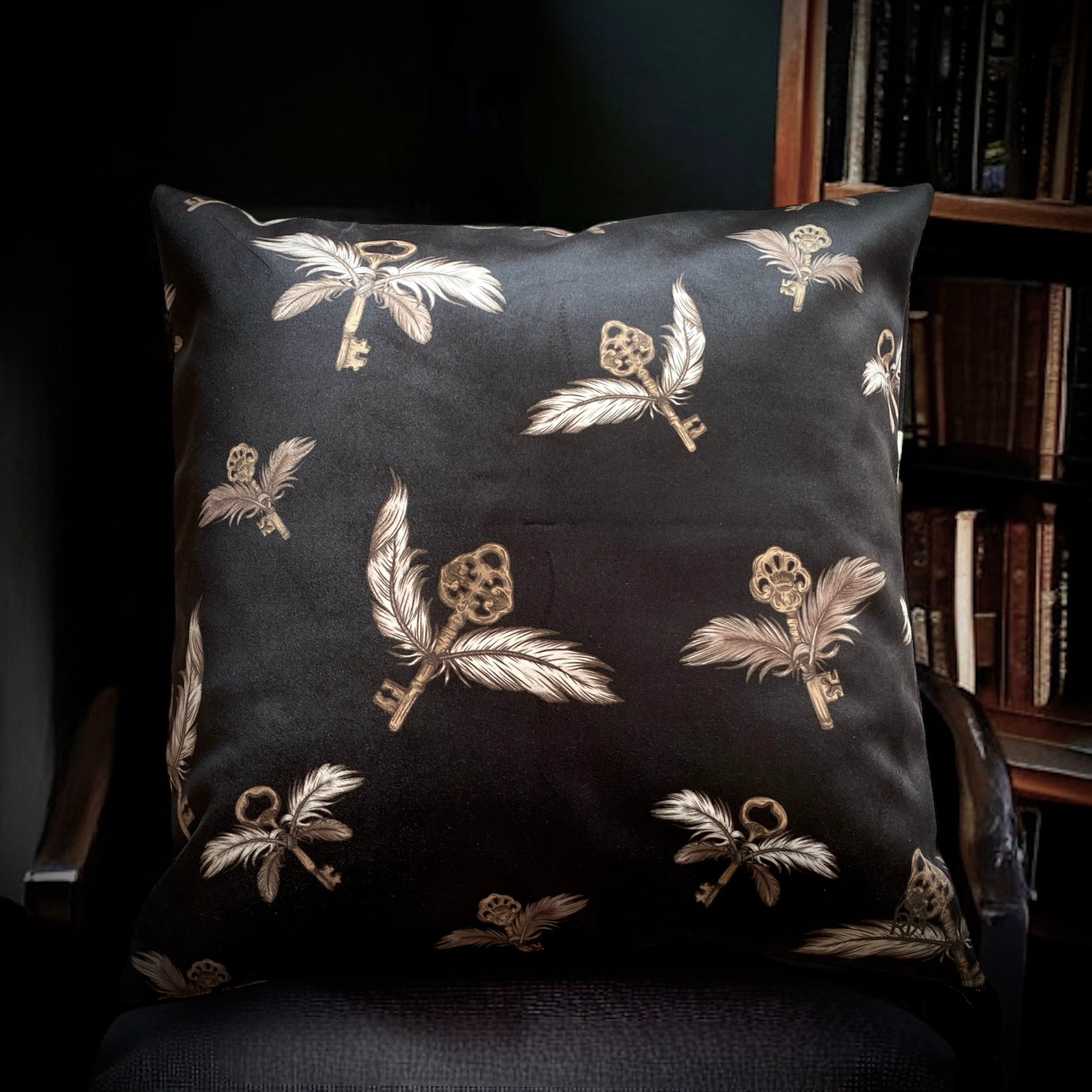 Dark Academia. Housse de coussin