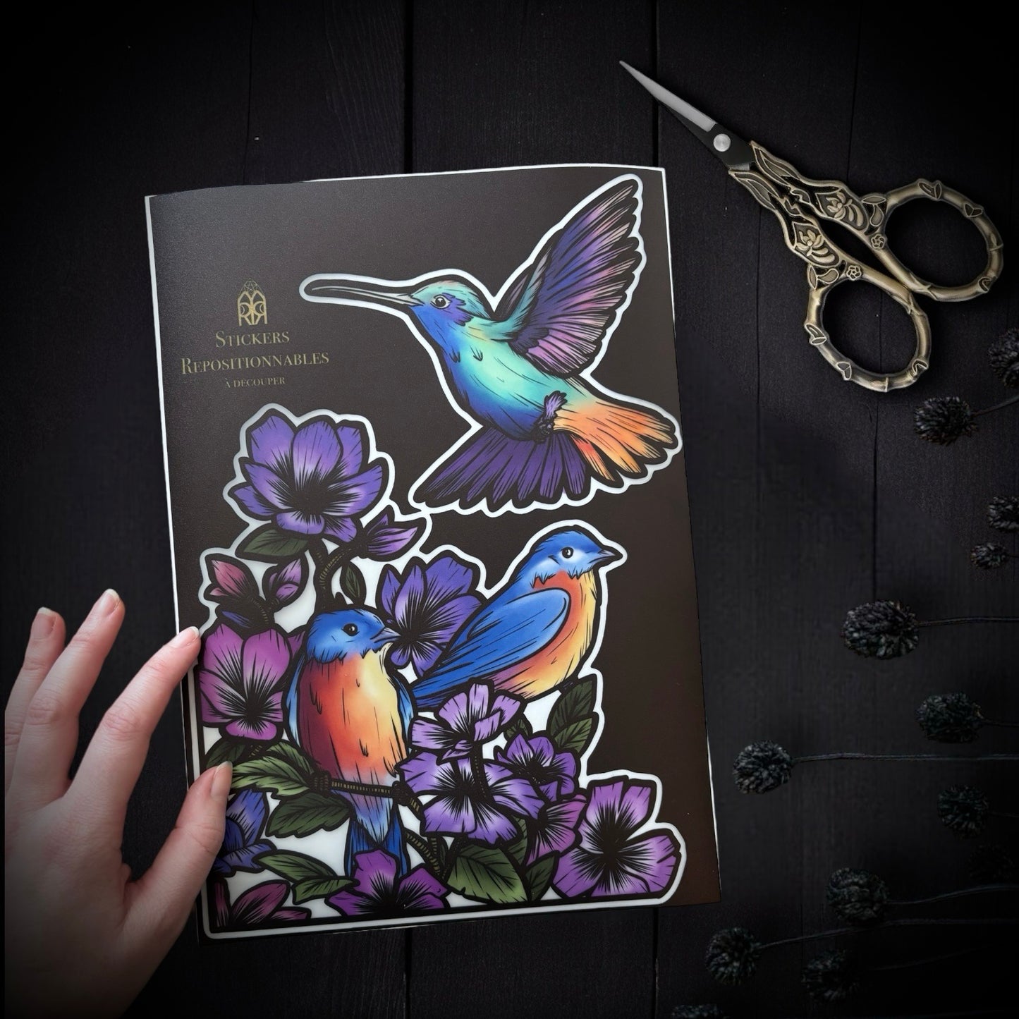 Le chant des oiseaux. Stickers repositionnables. A4 à découper.