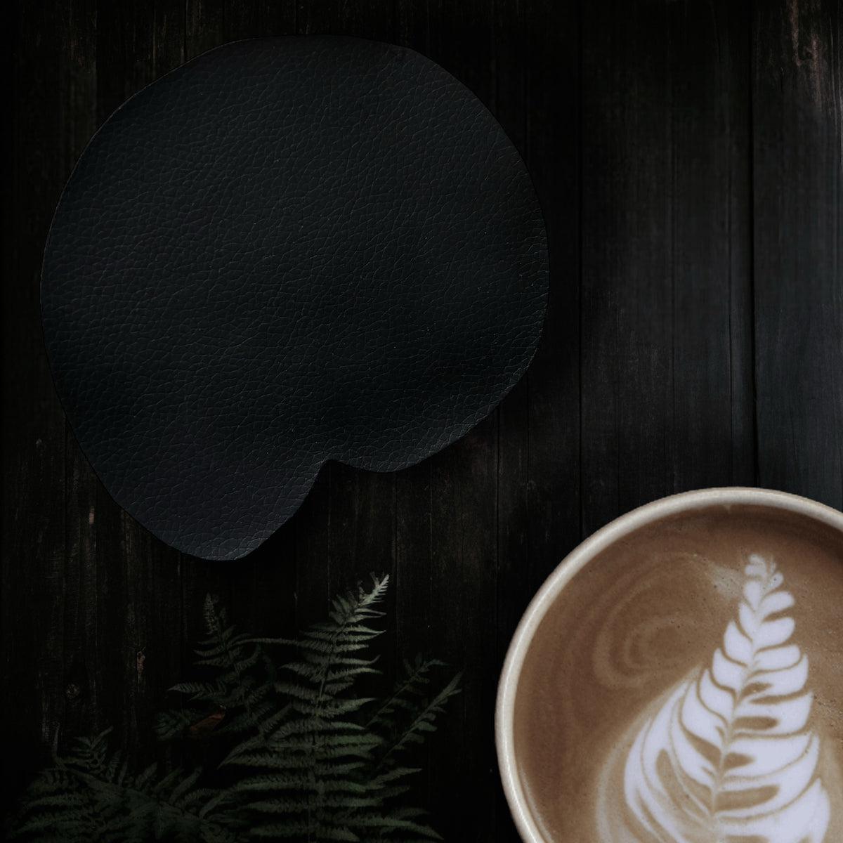 Sous Tasse. Fossile