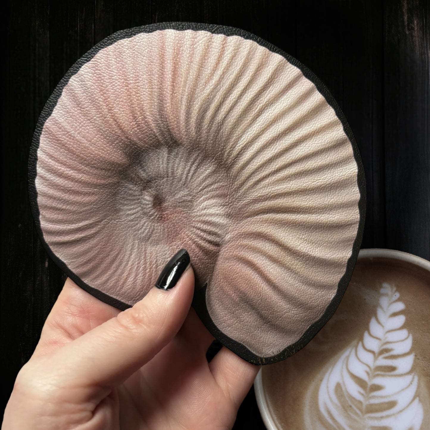 Sous Tasse. Fossile