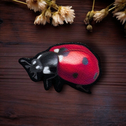 Pin’s. Coccinelle. Bijoux de col, sac, pull