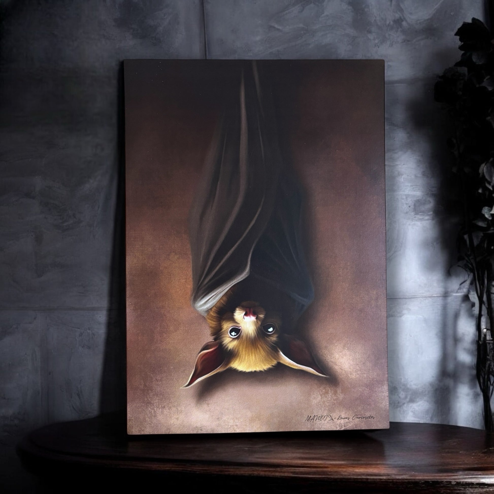 La Chauve-souris. Impression A4 et A6