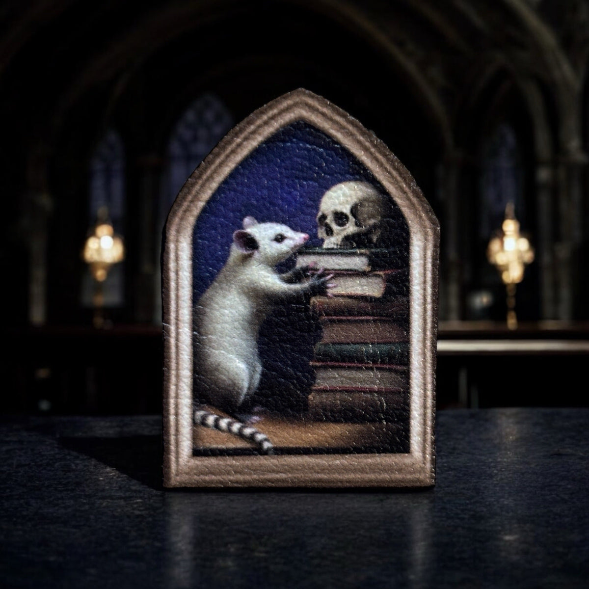 Magnet. Un opossum aux archives