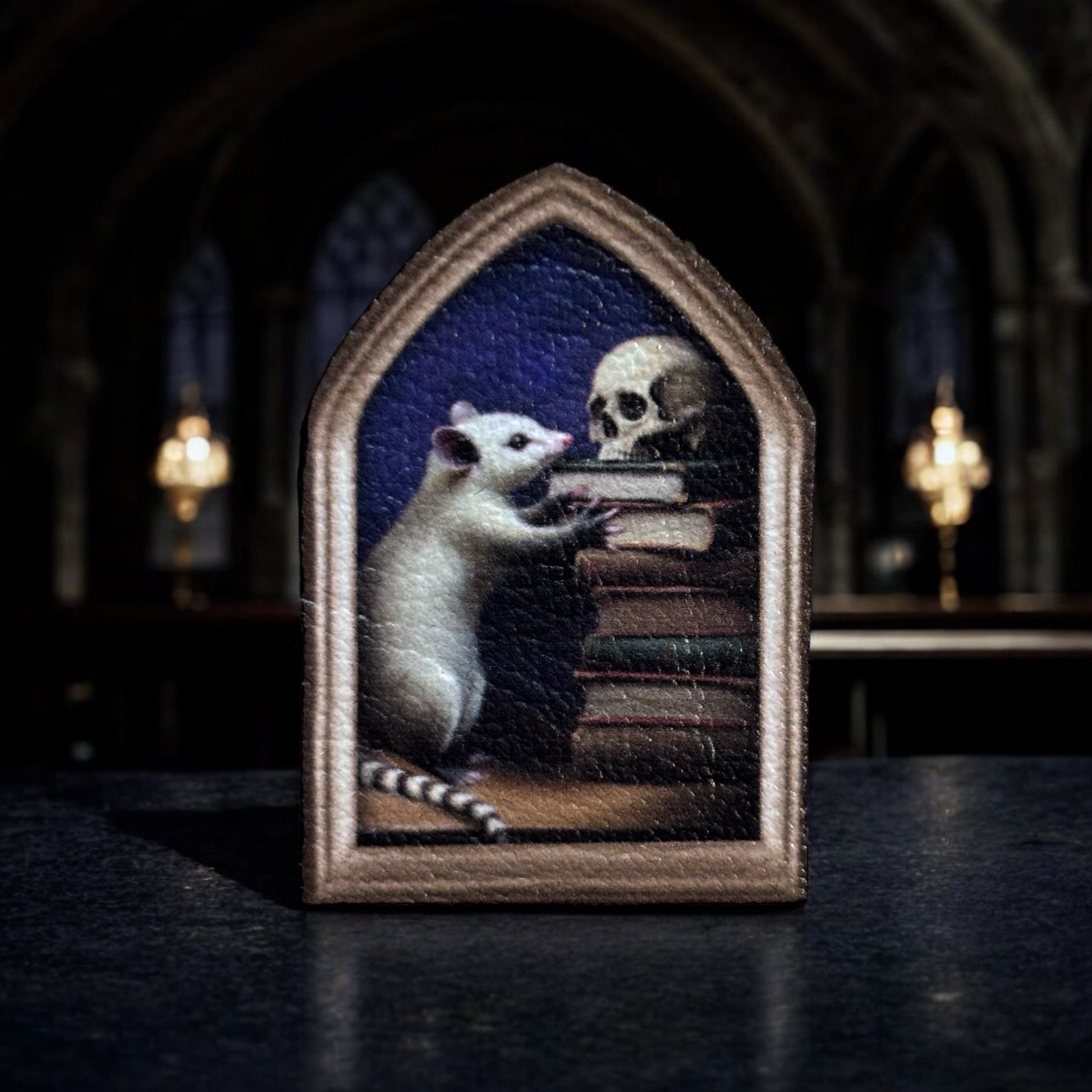 Magnet. Un opossum aux archives