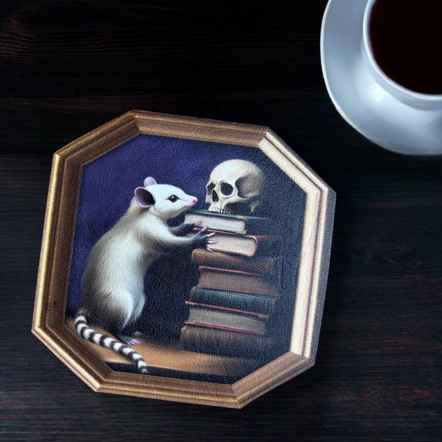 Sous Tasse. Un opossum aux Archives