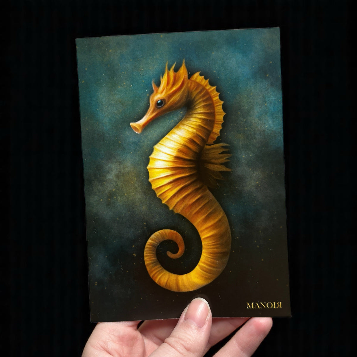 Sentinelle des Abysses. Hippocampe. Impression A6